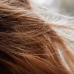 best products for dry scalp