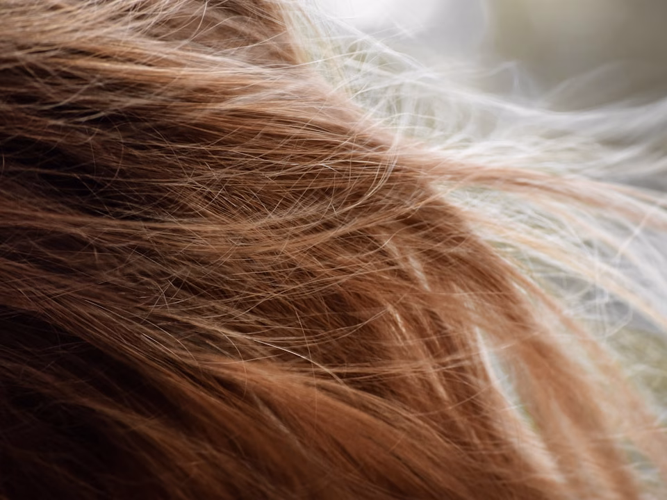 best products for dry scalp